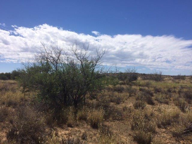 0 Bedroom Property for Sale in Leeu Gamka Western Cape